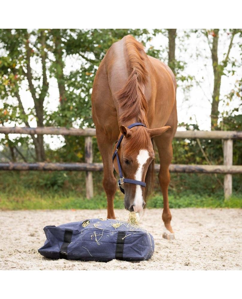 COUSSIN A FOIN DE PADDOCK - QHP