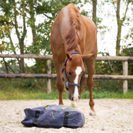 COUSSIN A FOIN DE PADDOCK - QHP