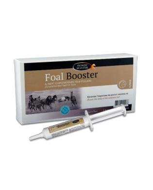 FOAL BOOSTER BOITE 4 SERINGUES - HORSE MASTER