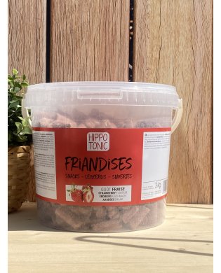 FRIANDISES GOUT FRAISE -...