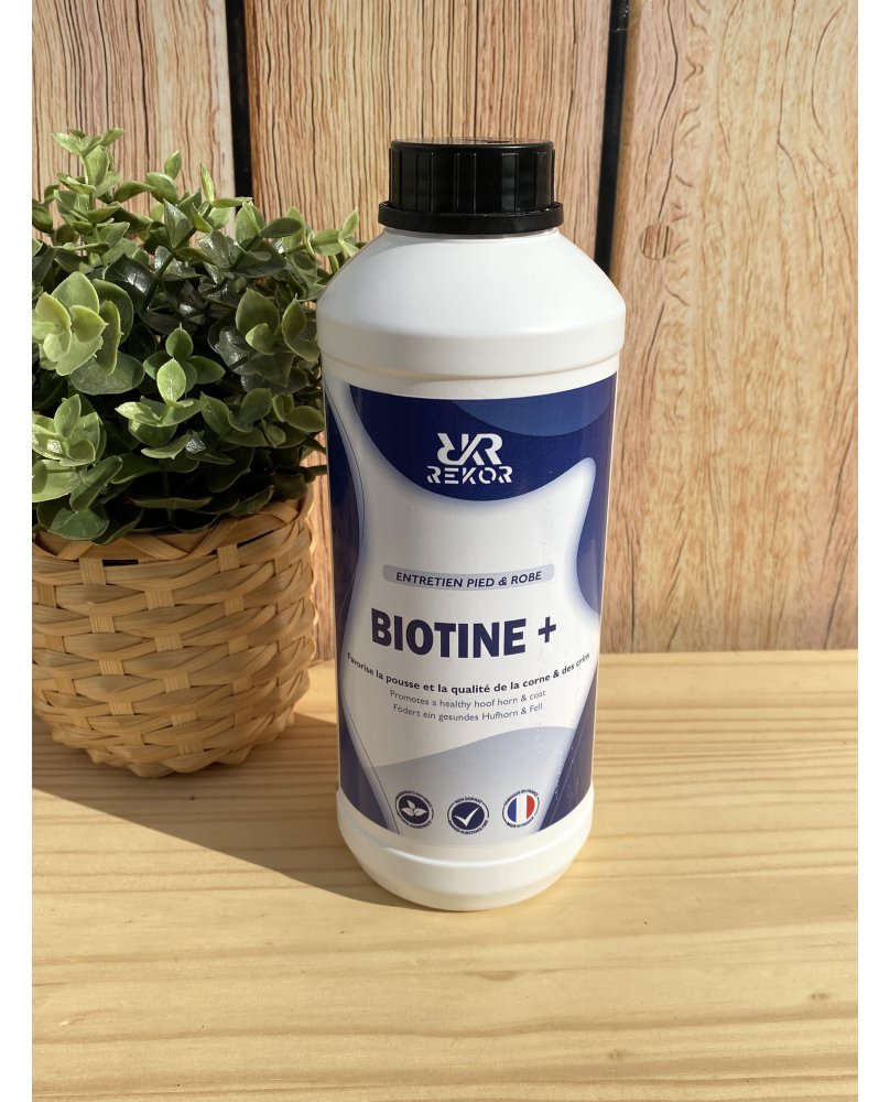 BIOTIN+ SOLUTION - REKOR