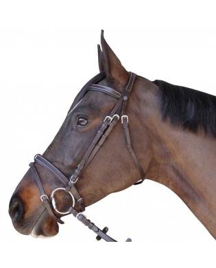 BRIDON PLAT DOUBLE - CANTER 