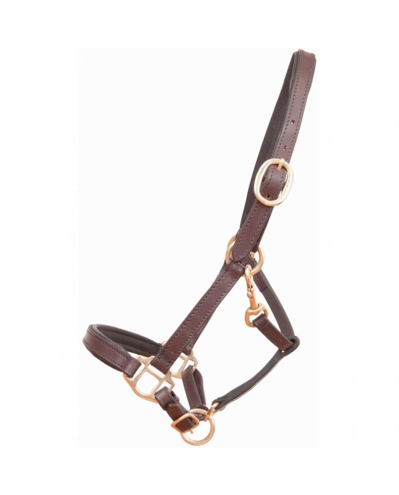 LICOL CUIR FOAL OU MINI - T DE T