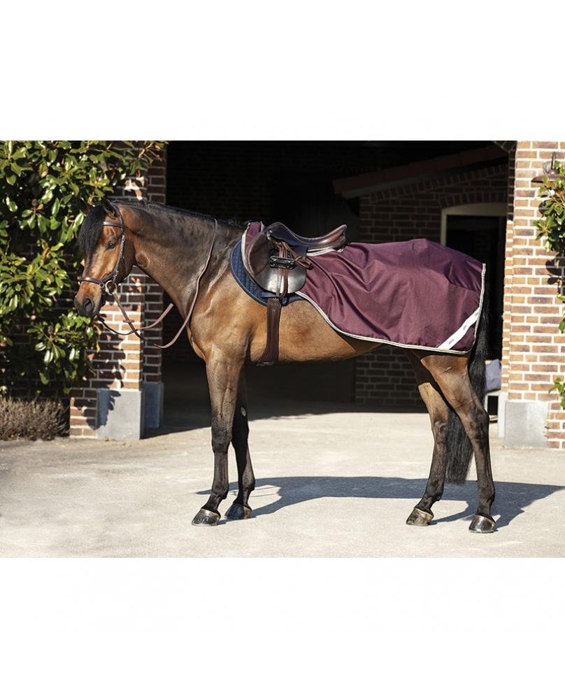 COUVRE-REINS AMIGO RIPSTOP COMPETITION - HORSEWARE