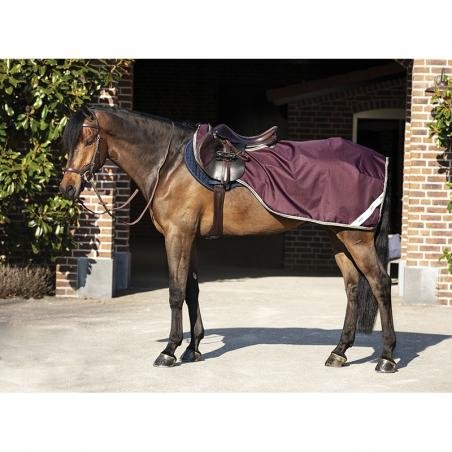 COUVRE-REINS AMIGO RIPSTOP COMPETITION - HORSEWARE