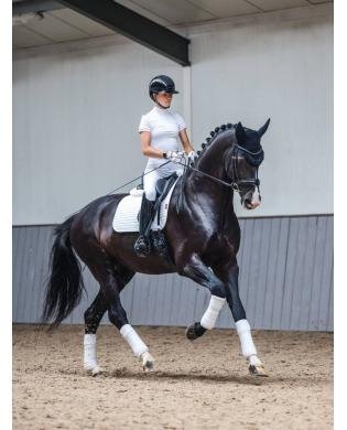 TAPIS DE SELLE "COTTON SQUARE" DRESSAGE - LE MIEUX